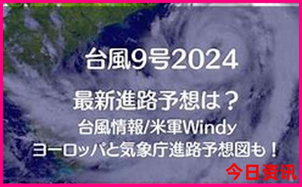 普者黑天鹅湖景区简介