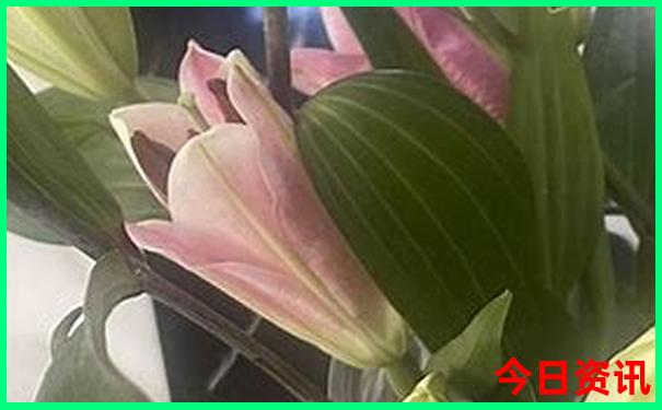 湖南有哪些地方好玩的景点